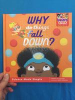 Why Do Things Fall Down?