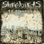 Shorebirds: It's Gonna Get Ugly