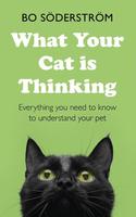 What Your Cat Is Thinking