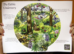 The Edible Understory Poster