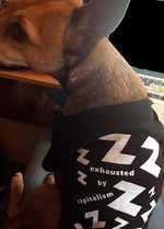 Exhausted by Capitalism Onesies