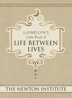 Llewellyn's Little Book of Life Between Lives
