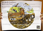 Why Do We Need Rotten Wood in the Forest? Poster