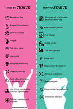 How to Thrive / Starve & How to Make a Decision postcard