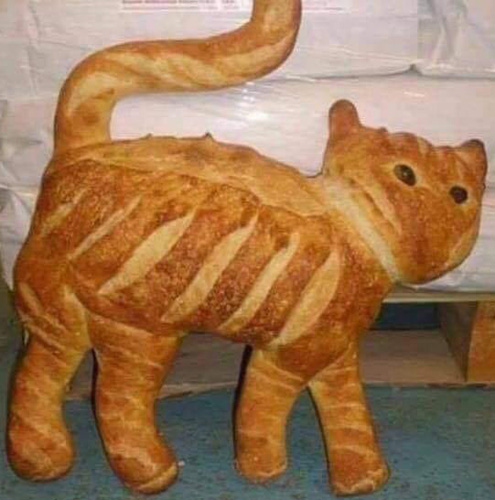 A cat made out of baked bread