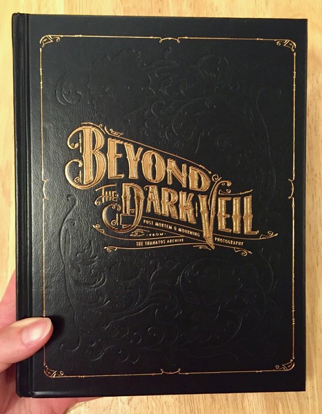 Beyond the Dark Veil by Sue Henger