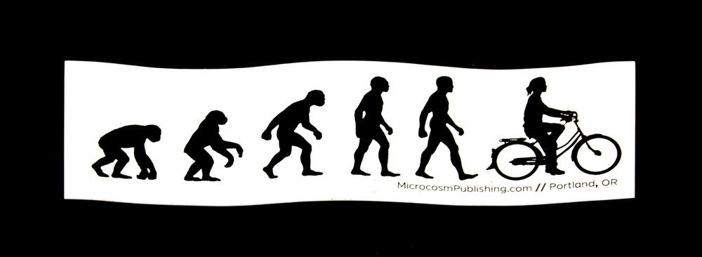 Sticker #299: Evolution Gal