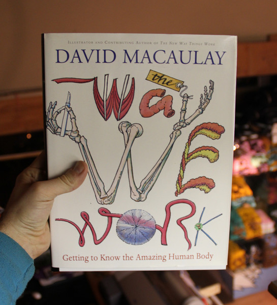 The Way We Work by David Macaulay